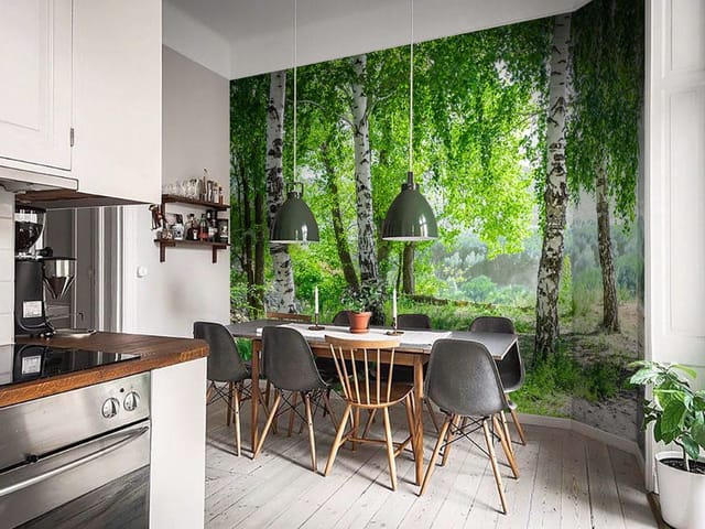 Fototapeta Brzozy w zielonym lesie (kod: 23724) Fototapeta Brzozy w zielonym lesie