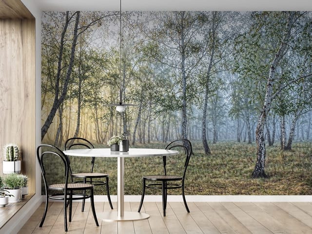 Fototapeta Las brzozowy w porannej mgle (kod: 26815) Fototapeta Las brzozowy w porannej mgle